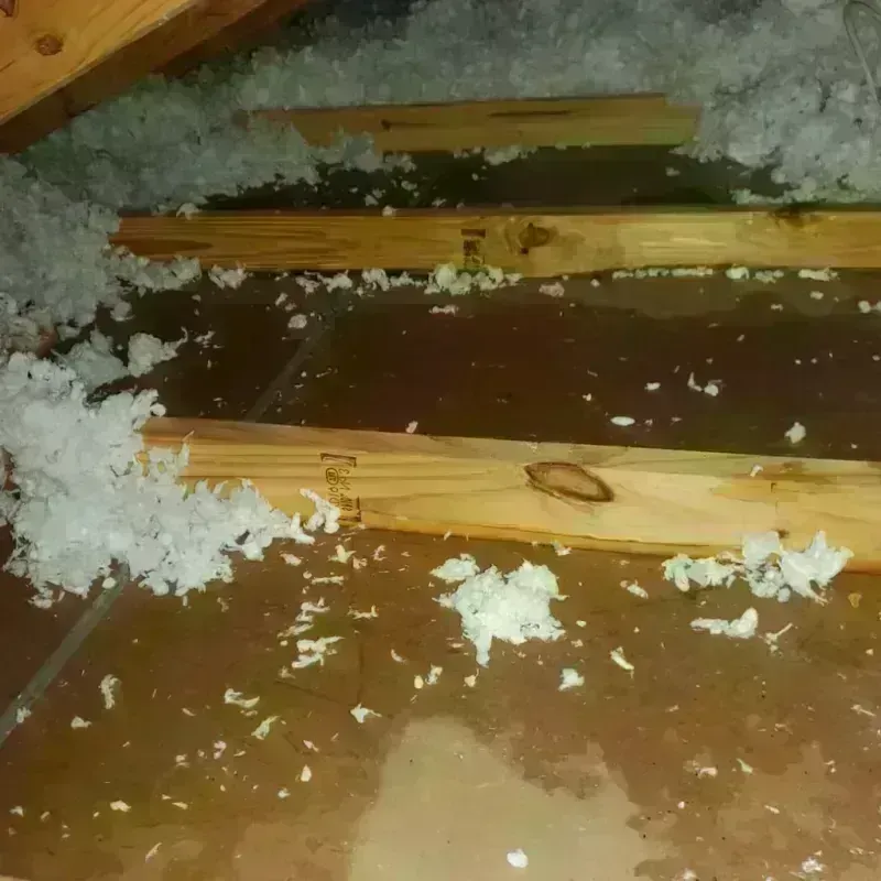 Attic Water Damage in East Bernard, TX