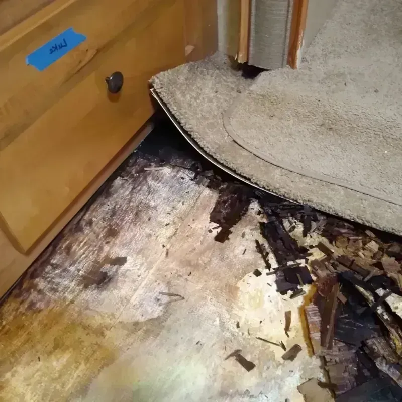 Wood Floor Water Damage in East Bernard, TX